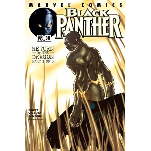 BLACK PANTHER (1998) # 38
