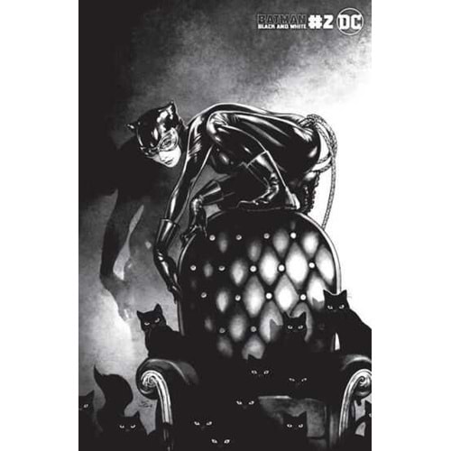 BATMAN BLACK AND WHITE (2020) # 2 (OF 6) COVER C KAMOME SHIRAHAMA CATWOMAN VARIANT