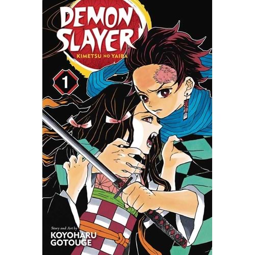 DEMON SLAYER KIMETSU NO YAIBA VOL 1 TPB