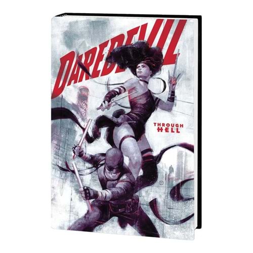 DAREDEVIL BY CHIP ZDARSKY HC VOL 2 TO HEAVEN THROUGH HELL