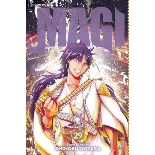 MAGI THE LABYRINTH OF MAGIC VOL 29 TPB