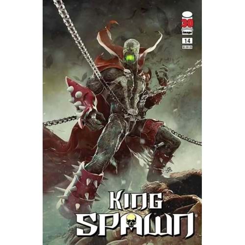 KING SPAWN # 14 COVER A BARENDS