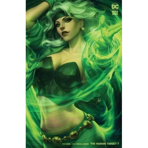 HUMAN TARGET # 7 (OF 12) COVER B STANLEY ARTGERM LAU VARIANT