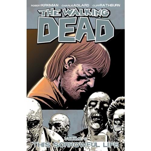 Walking Dead Vol 6 This Sorrowful Life TPB