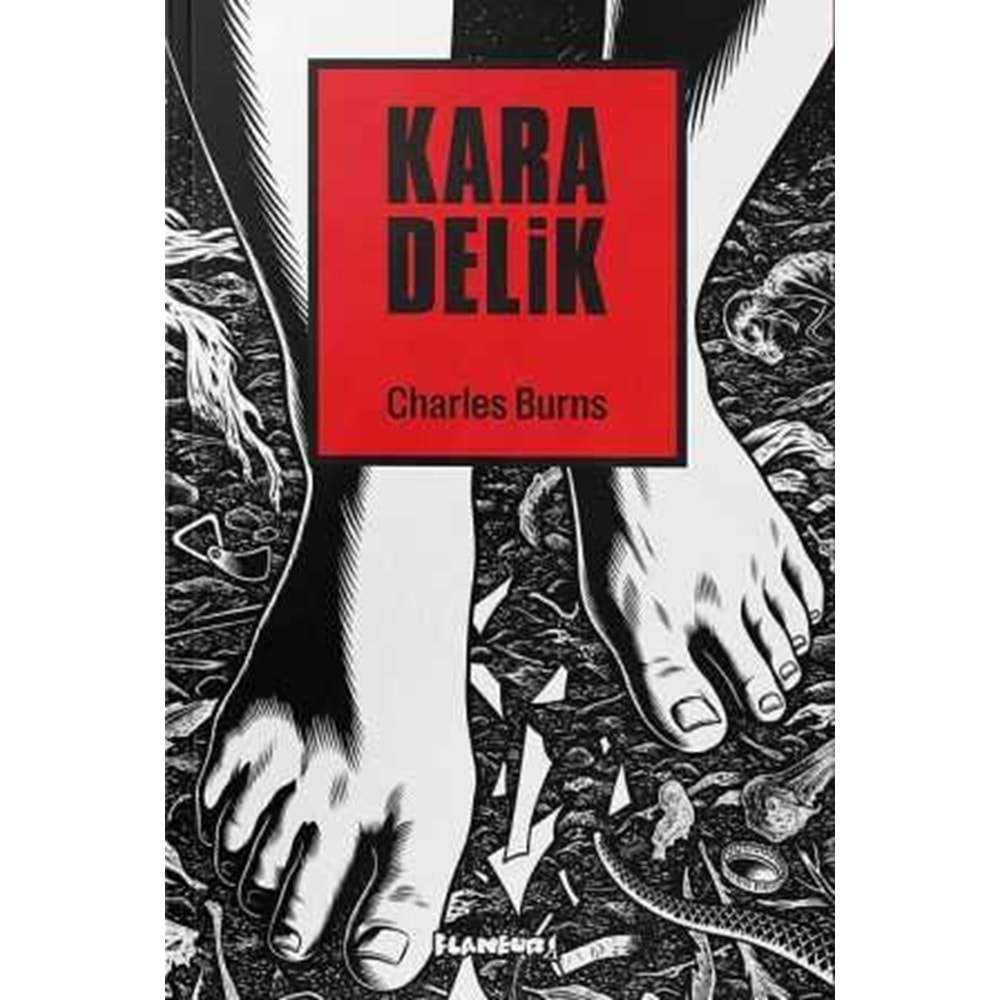 KARA DELİK