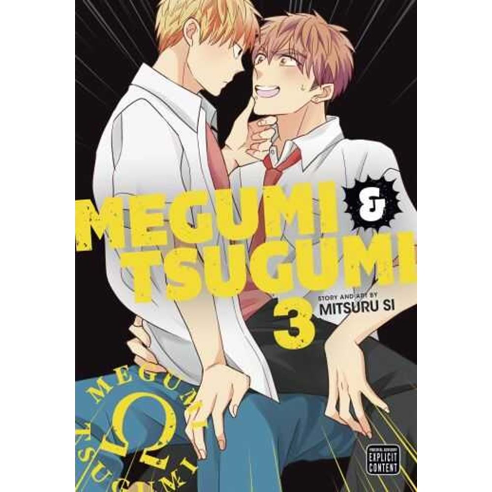 MEGUMI AND TSUGUMI VOL 3 TPB