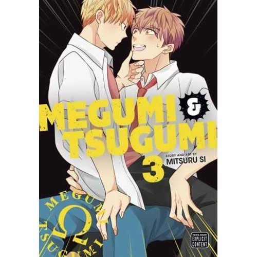 MEGUMI AND TSUGUMI VOL 3 TPB