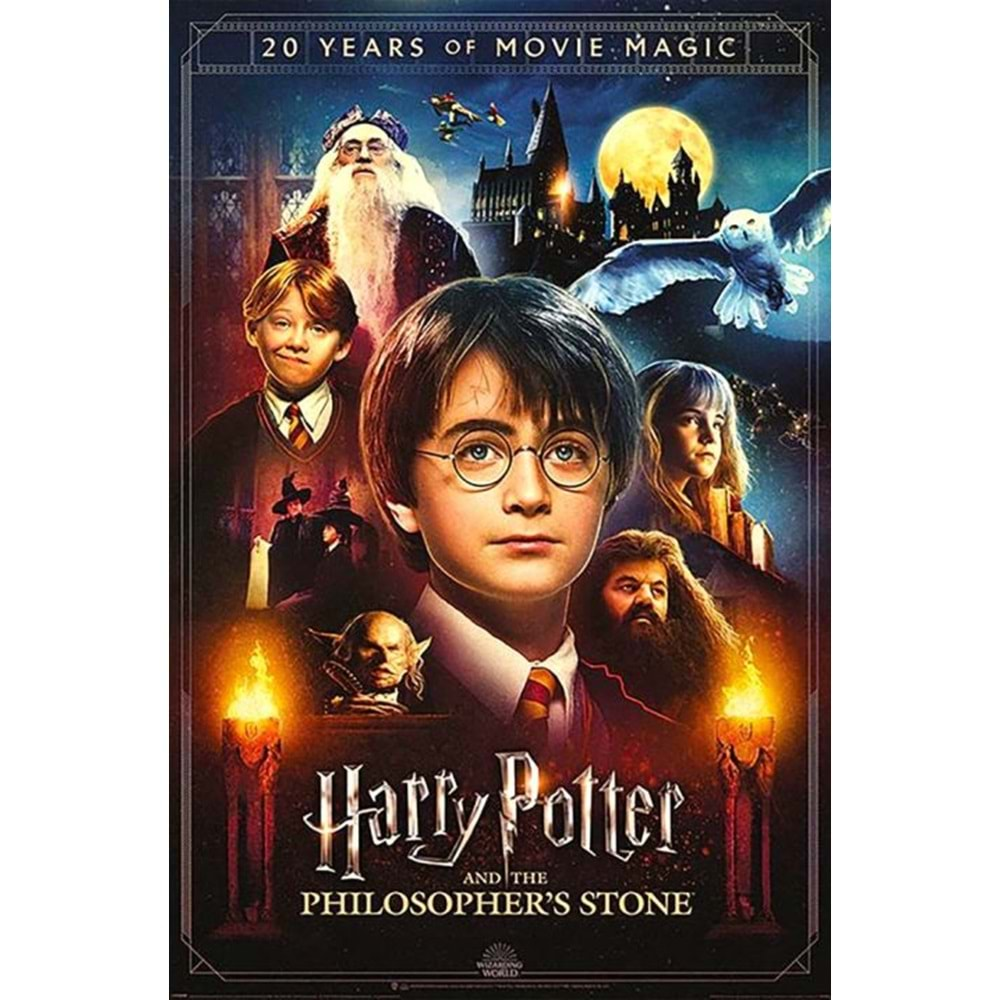 HARRY POTTER 20 YEARS OF MAGIC POSTER