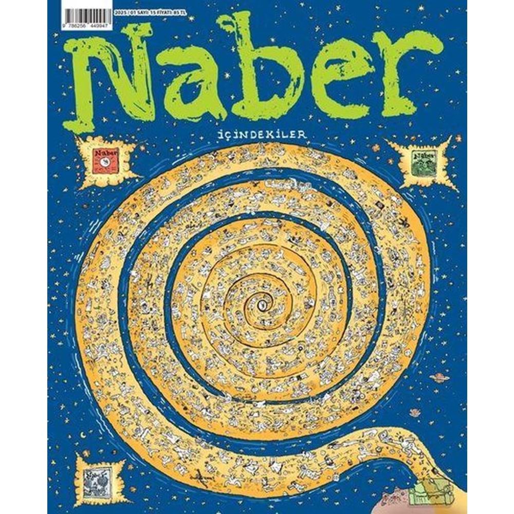 NABER SAYI 15
