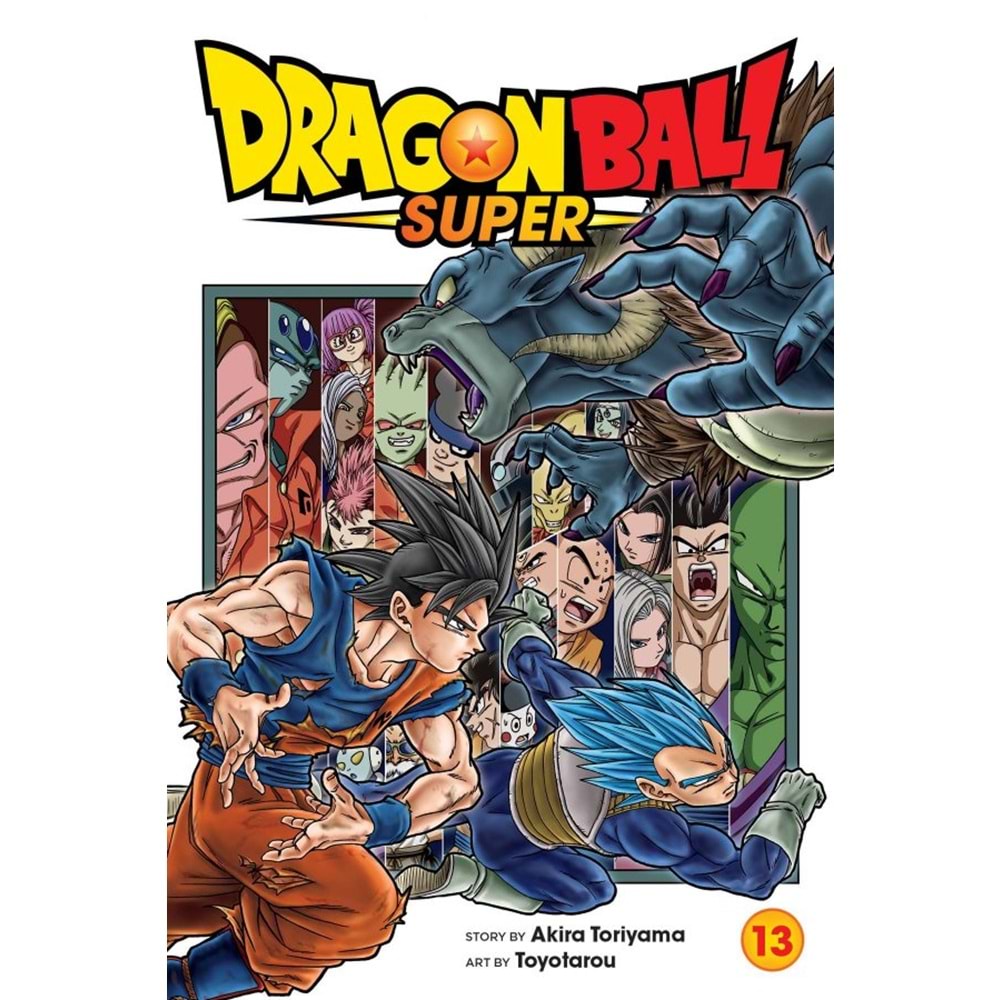 DRAGON BALL SUPER VOL 13 TPB