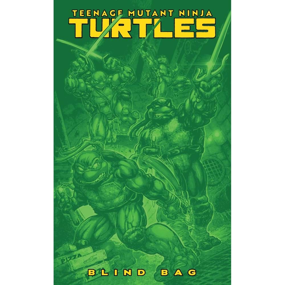 TEENAGE MUTANT NINJA TURTLES (2024) # 13 COVER F BLIND BAG VARIANT