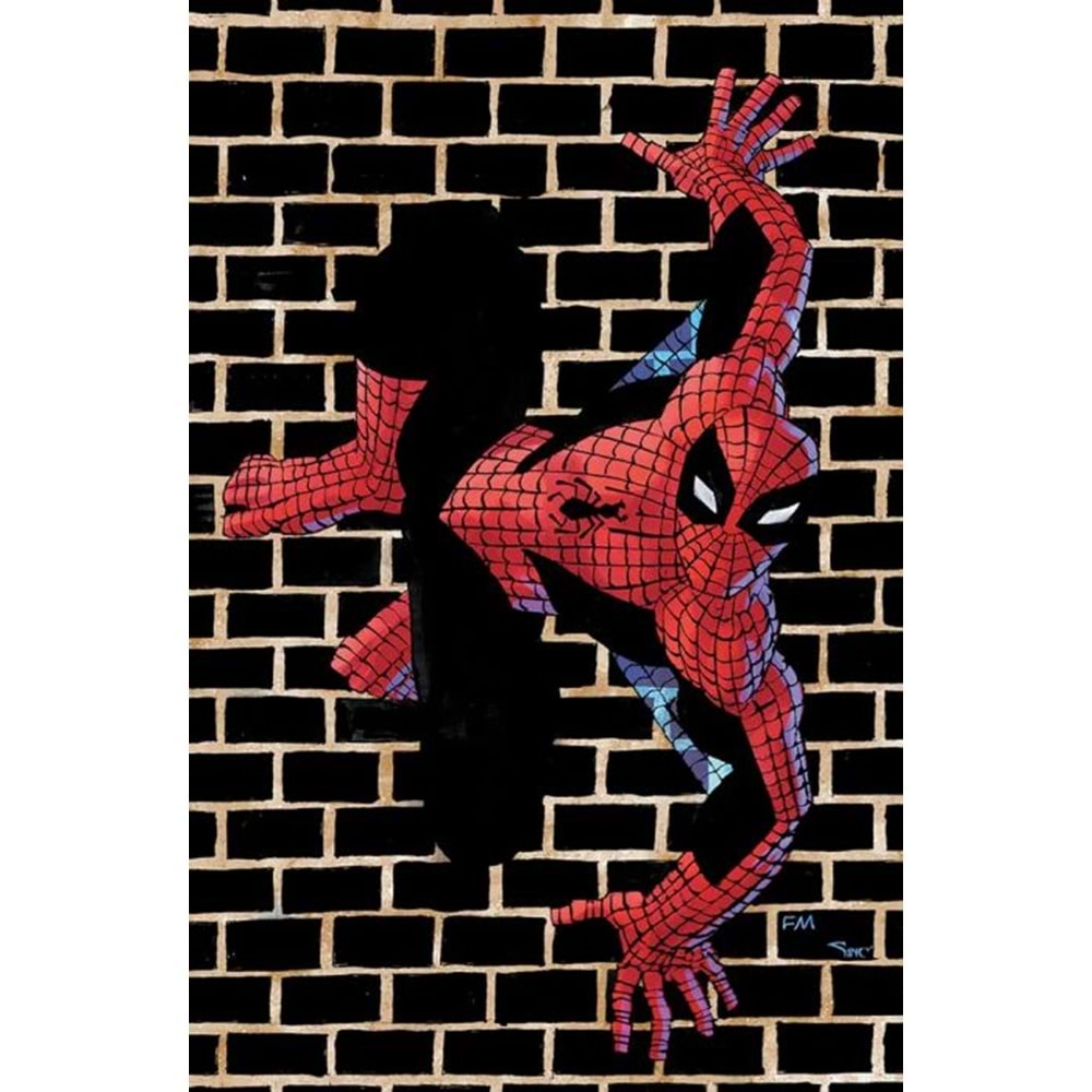 AMAZING SPIDER-MAN #15 ITALIAN EDITION PANINI STORE EXCLUSIVE FRANK MILLER VIRGIN FOIL VARIANT