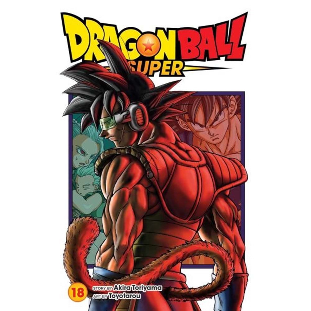 DRAGON BALL SUPER VOL 18 TPB