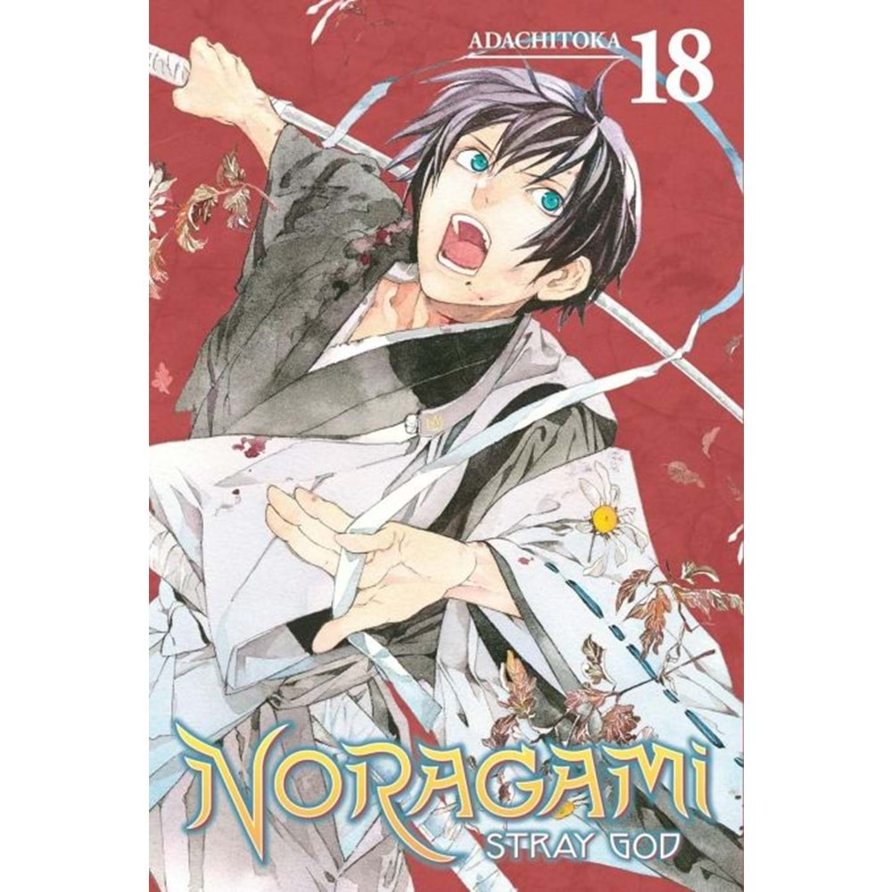 NORAGAMI STRAY GOD VOL 18 TPB