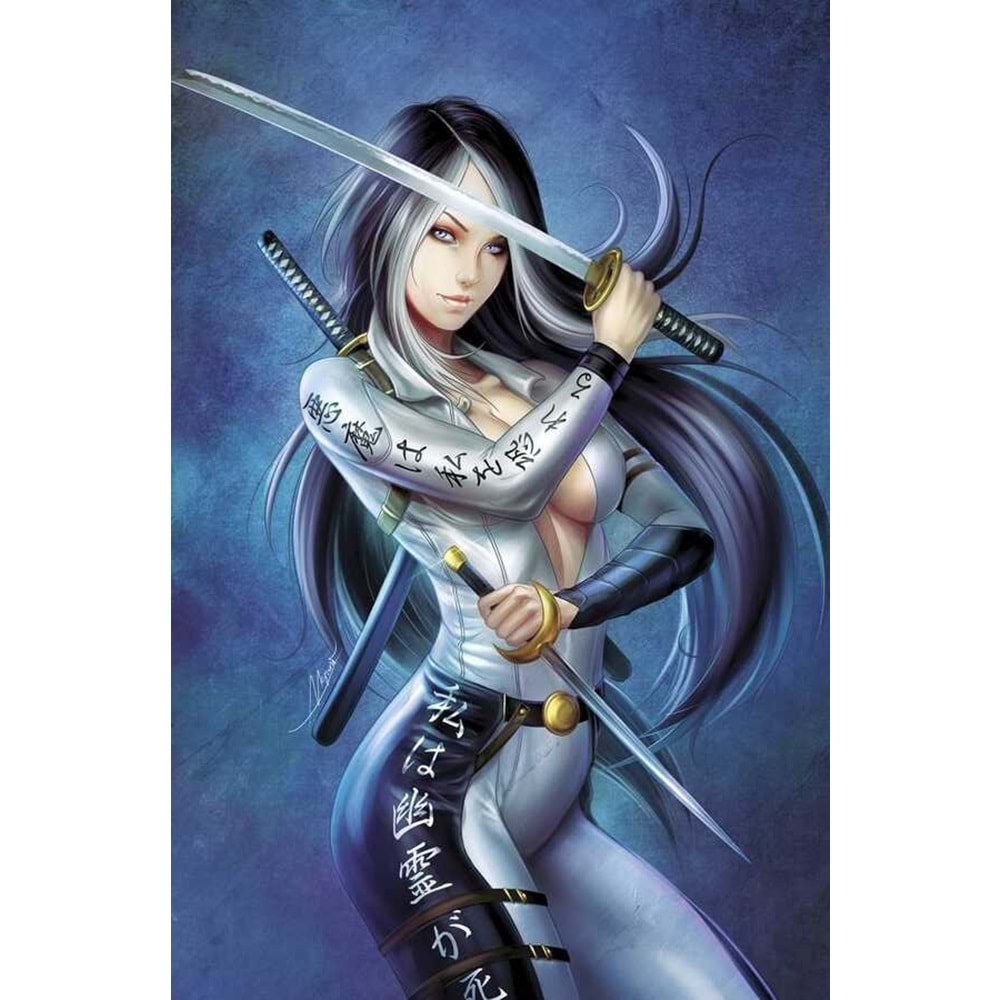 GRIMM FAIRY TALES MASUMI BLADES OF SIN # 2 COVER C PESSANHA