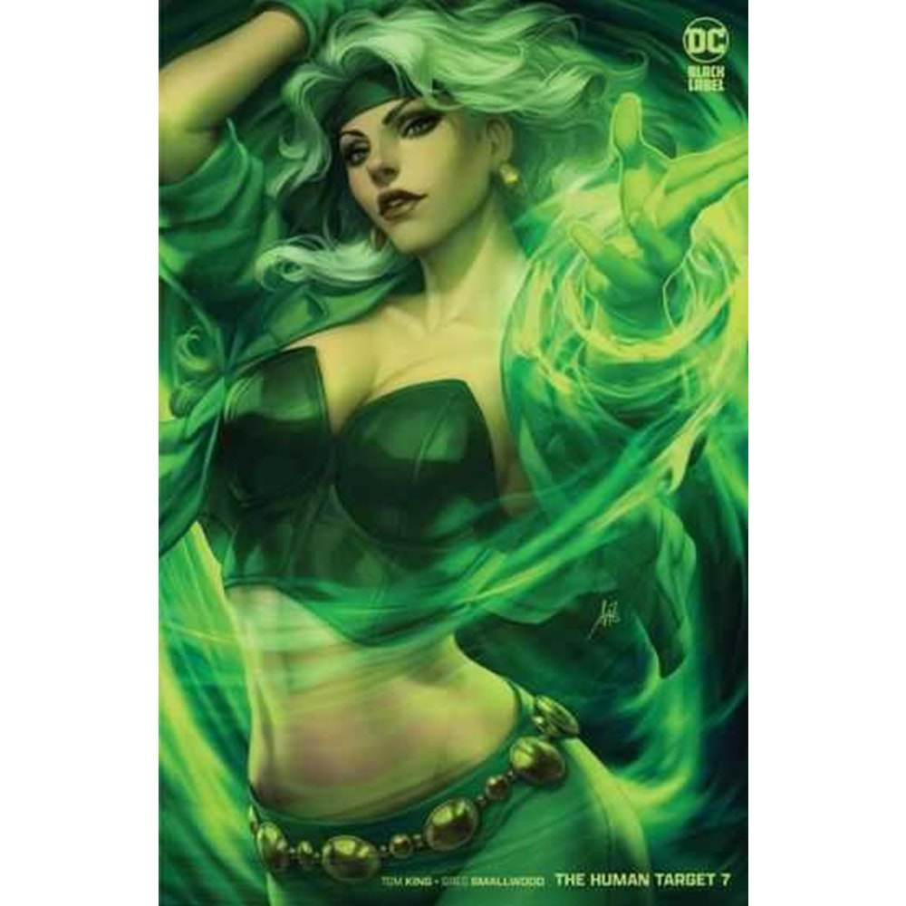 HUMAN TARGET # 7 (OF 12) COVER B STANLEY ARTGERM LAU VARIANT